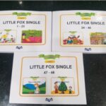 Bo sach Little Fox Single Stories