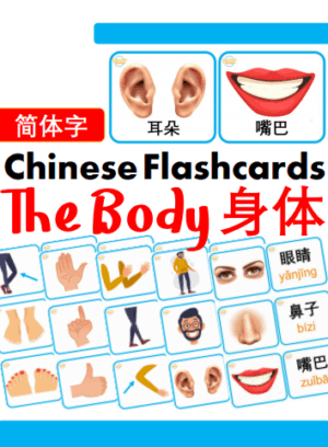 Chủ đề số 13: Flashcard tiếng Trung Body Bộ phận cơ thể [PDF]