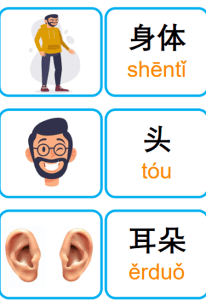 Chủ đề số 13: Flashcard tiếng Trung Body Bộ phận cơ thể [PDF] - Ảnh 2