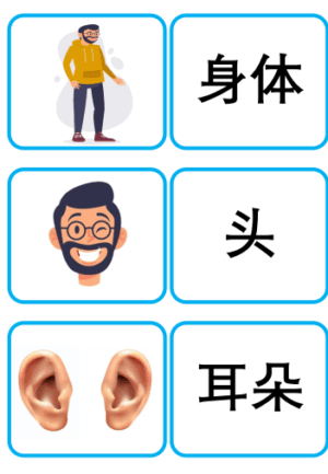 Chủ đề số 13: Flashcard tiếng Trung Body Bộ phận cơ thể [PDF] - Ảnh 3