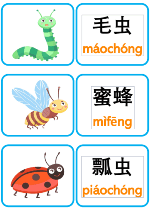 Chủ đề số 22: Flashcard tiếng Trung Insects Côn trùng [PDF] - Ảnh 2