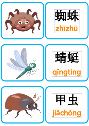 Chủ đề số 22: Flashcard tiếng Trung Insects Côn trùng [PDF] - Ảnh 3