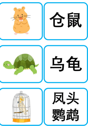 Chủ đề số 32: Flashcard tiếng Trung Pets Thú cưng [PDF] - Ảnh 3
