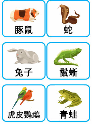 Chủ đề số 32: Flashcard tiếng Trung Pets Thú cưng [PDF] - Ảnh 4