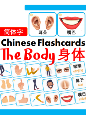 Chủ đề số 12: Flashcard tiếng Trung Body Bộ phận cơ thể [PDF]